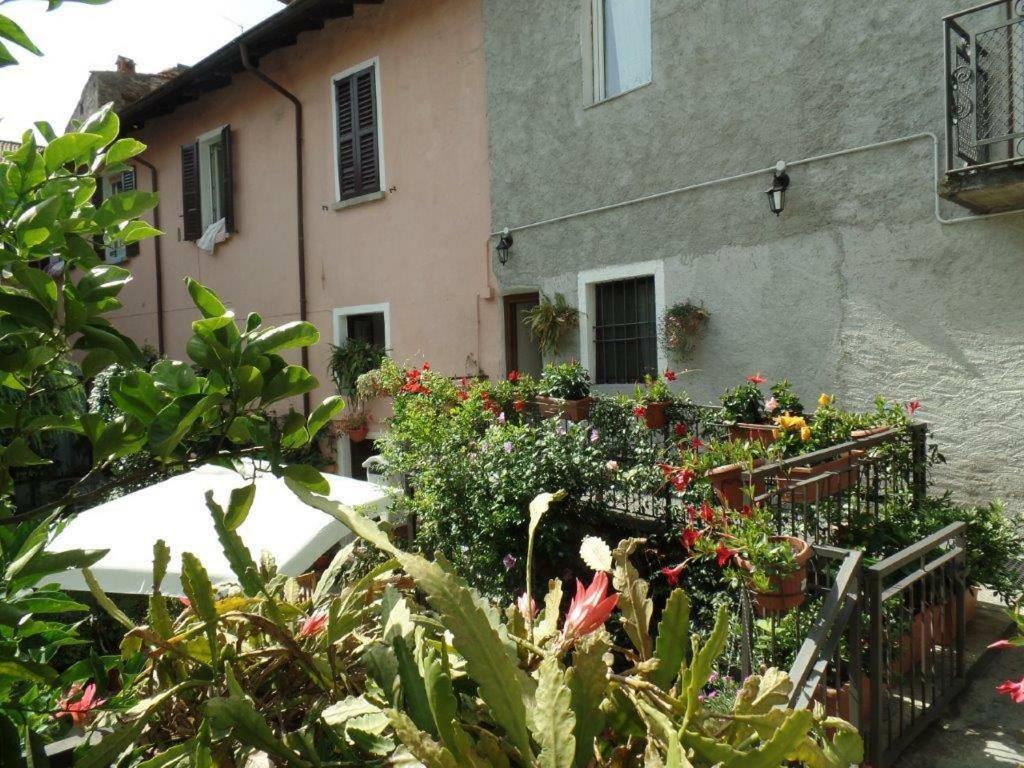 B&B Zia Lina Dongo Exterior foto